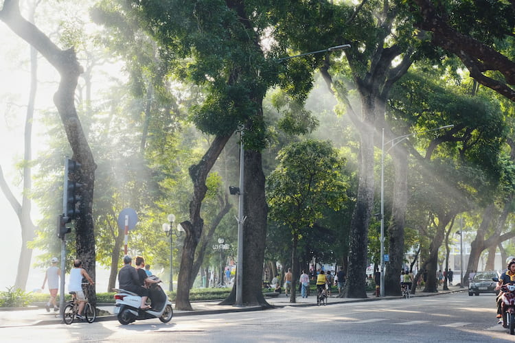 5D SIGNATURE YEAR END VIETNAM HANOI SAPA FANSIPAN WITH HALONG BAY CRUISE 2026